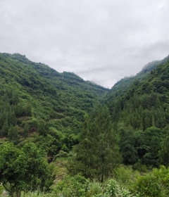 一路的风景