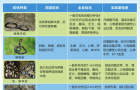 夏季来临“长虫”出没，区县哪里可以打抗毒血清？名单来了
