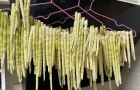 明天继续