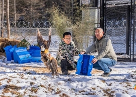 雪宝山传来新消息！8只国家级保护动物开启野外生存训练！