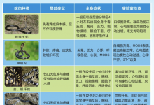 夏季来临“长虫”出没，区县哪里可以打抗毒血清？名单来了