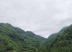 一路的风景