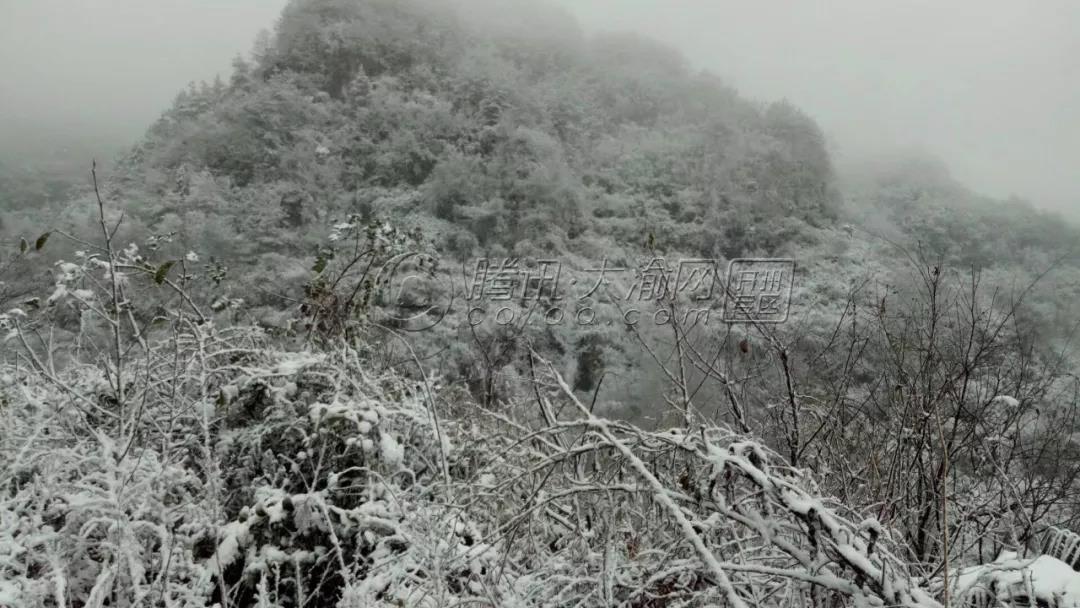 金莎娱乐官网最全网站：开州多地下雪  银装素裹景如画(图4)