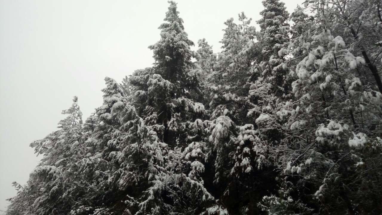 雷火电竞官方网站_关坪雪景(图2)