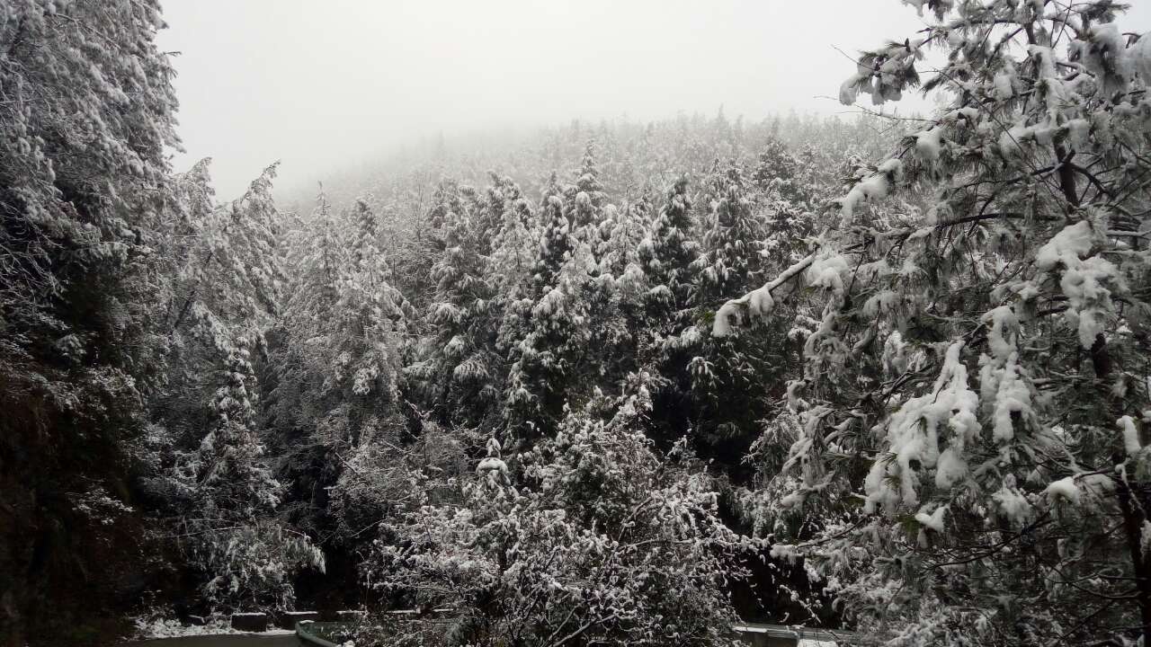 关坪雪景：雷火电竞首页(图4)