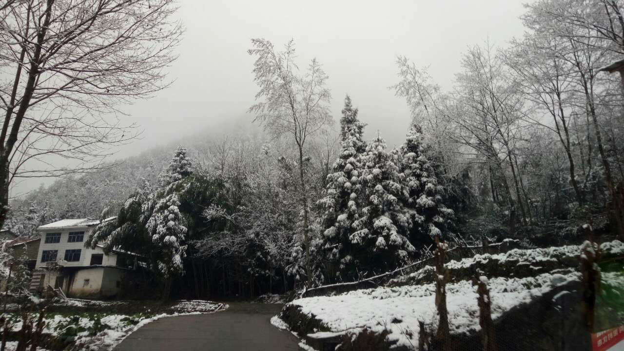 雷火电竞官方网站_关坪雪景(图5)