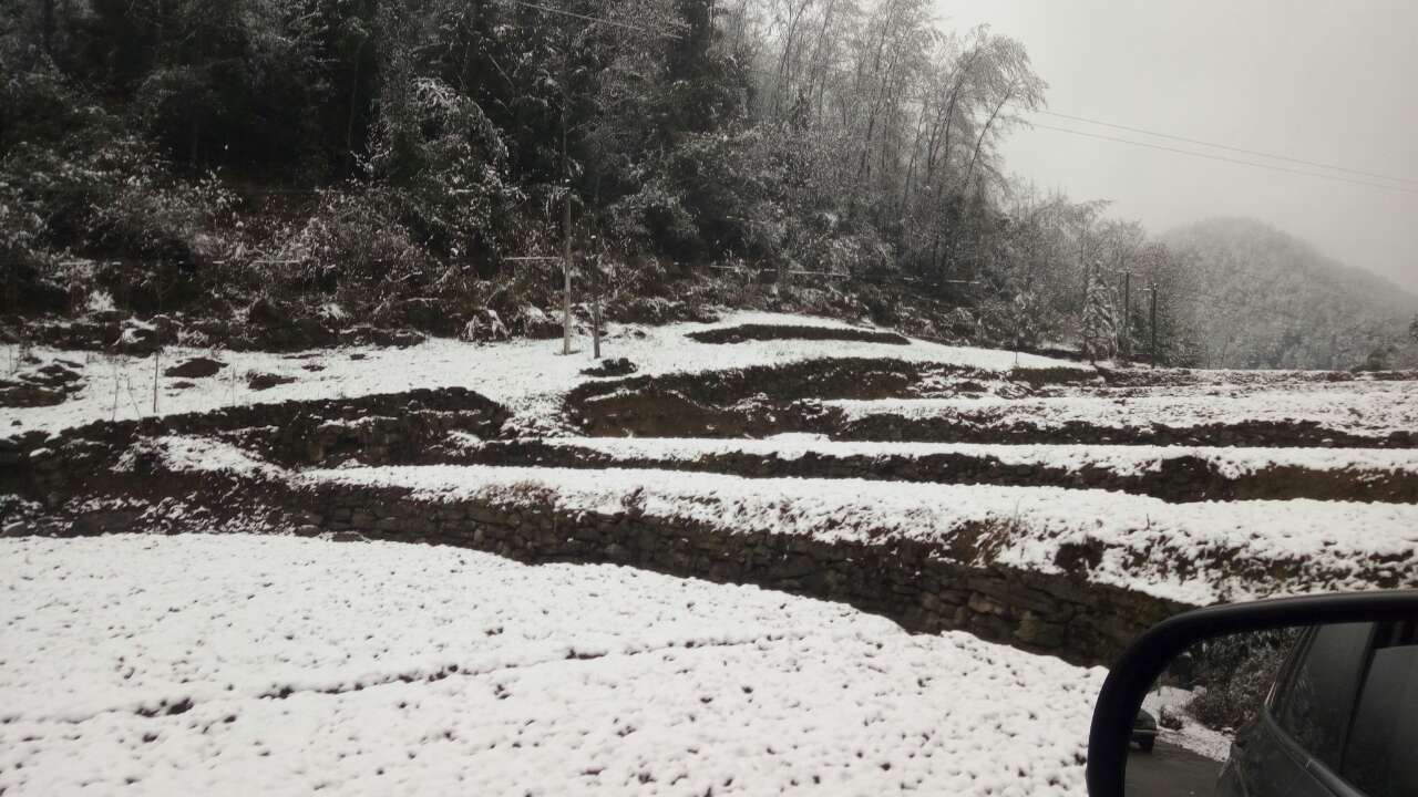 bat365在线平台：关坪雪景(图7)