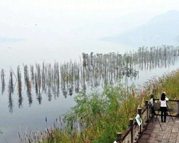 开州“四大生态”建设：雷火电竞首页(图2)