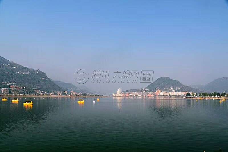 汉丰湖来了一只大黄鸭，一群小黄鸭……：Kaiyun官方网(图1)