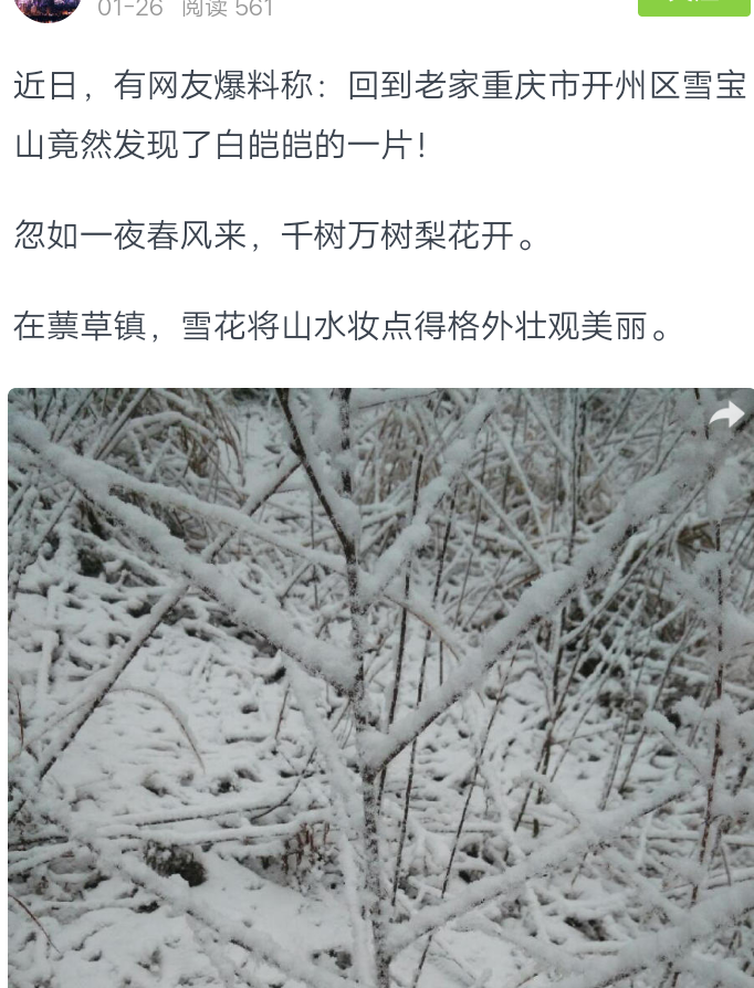 ‘bat365在线平台’开州区雪宝山下雪了(图2)