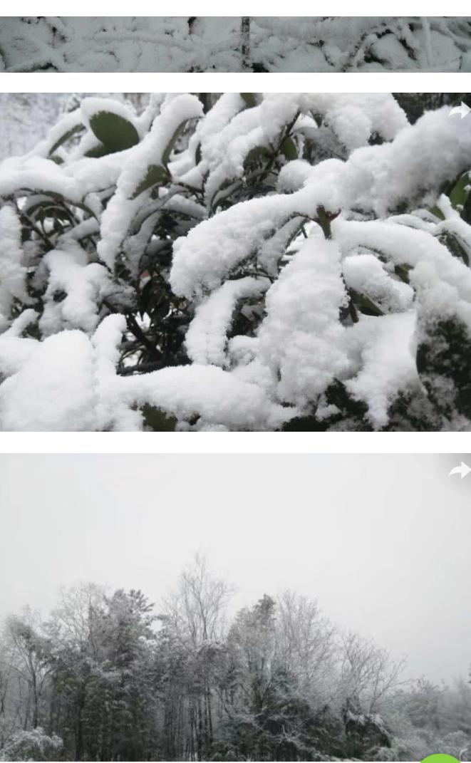 ‘bat365在线平台’开州区雪宝山下雪了(图1)