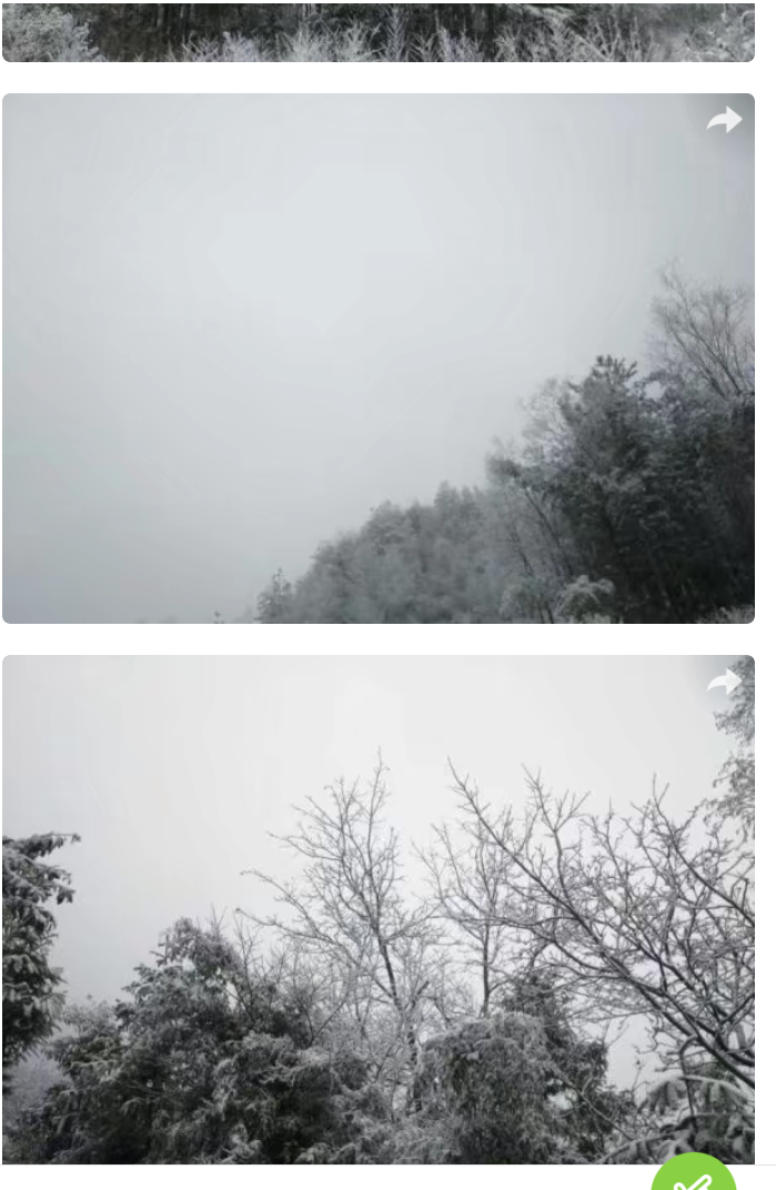 ‘bat365在线平台’开州区雪宝山下雪了(图3)
