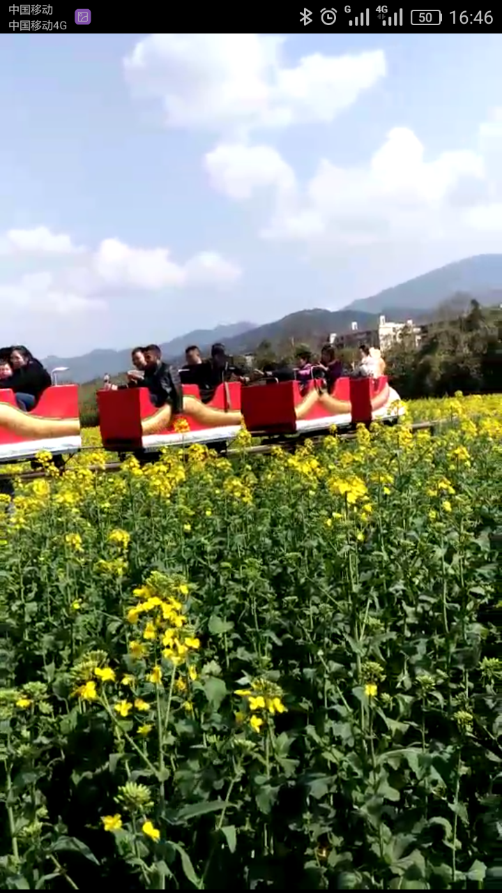 雷火电竞首页_十里竹溪的菜花小火车(图3)