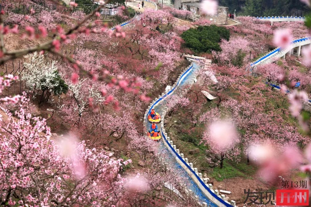 Kaiyun官方网_三月看桃花，发现毛成桃花山已被修成仙境！(图6)