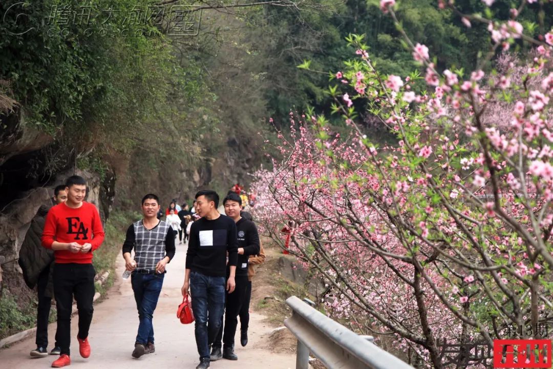 Kaiyun官方网_三月看桃花，发现毛成桃花山已被修成仙境！(图8)