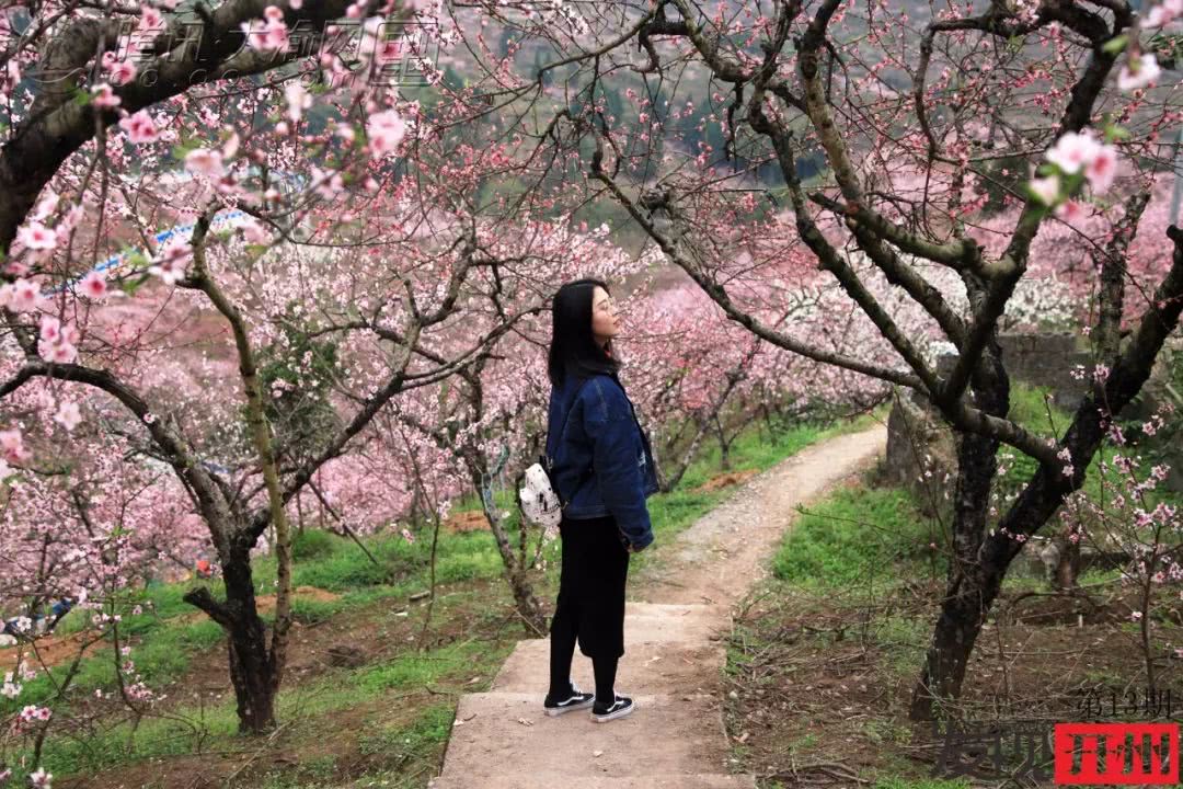 Kaiyun官方网_三月看桃花，发现毛成桃花山已被修成仙境！(图12)