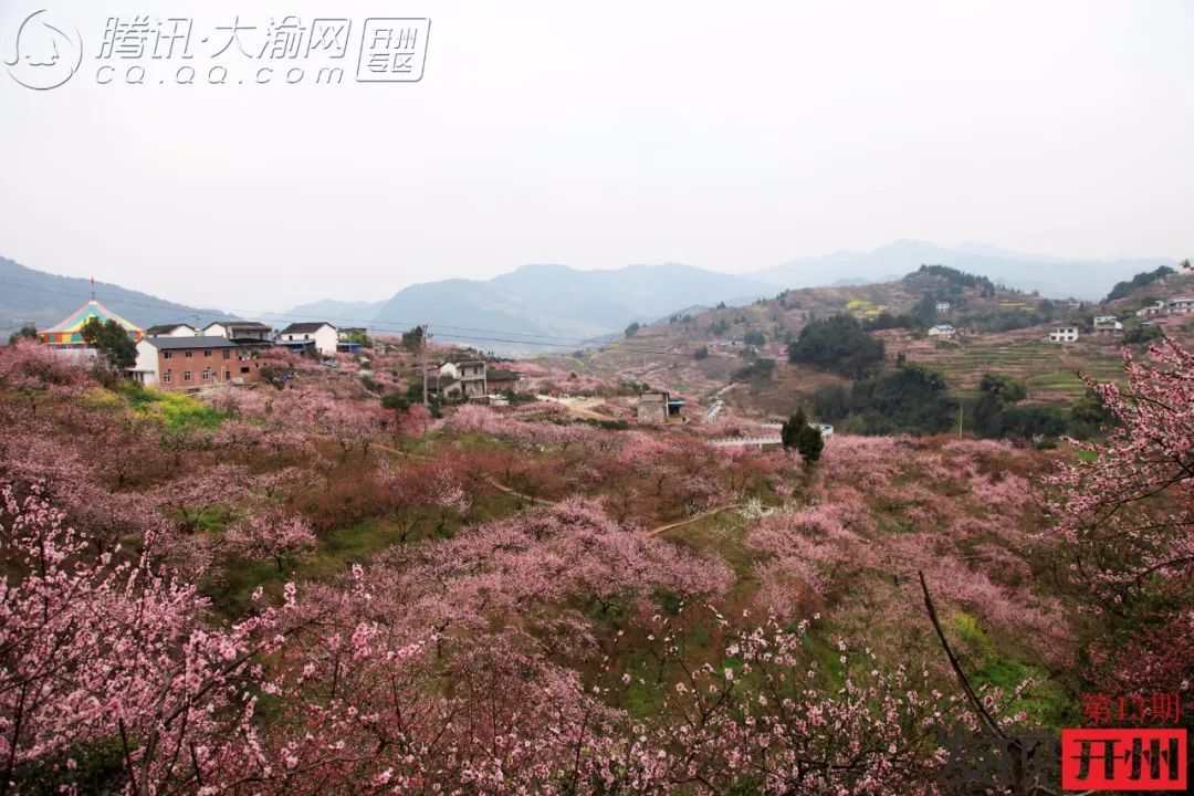 Kaiyun官方网_三月看桃花，发现毛成桃花山已被修成仙境！(图11)