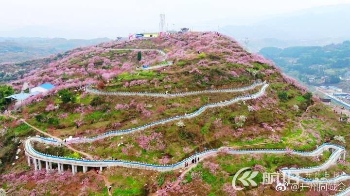 航拍下的开州万亩桃林！简直不能用言语...|雷火电竞在线登录官网(图2)