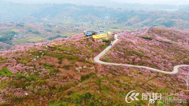 半岛官方下载地址_航拍下的开州万亩桃林！简直不能用言语...(图8)