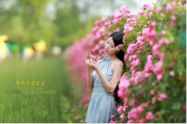 【九游会ag真人官网】美爆啦！盛山植物园浪漫蔷薇花开！免费门票大派送！(图1)
