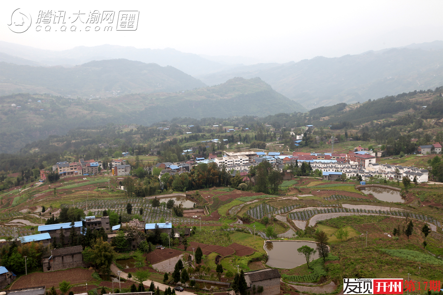 春日白桥风光：看蓝莓花果同树，登武城山寻猫儿寨古迹|im电竞(图1)