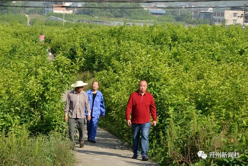 快约起来！这里有免费的美味！“泛亚电竞”(图6)