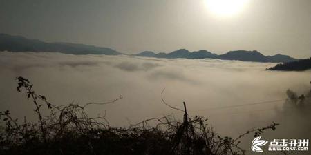 再没有比春雨洗浴后的这个村更迷人了！-雷火电竞首页(图4)