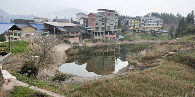 泛亚电竞：再没有比春雨洗浴后的这个村更迷人了！(图10)