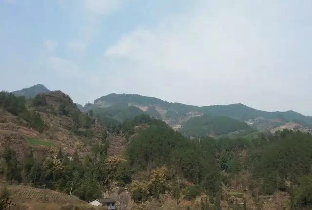 微信图片_20180425092654.jpg