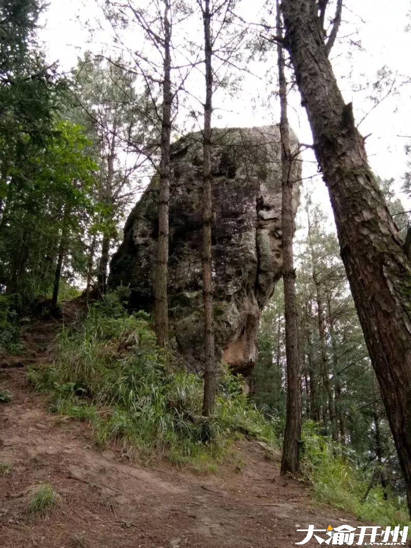 如果你愿意，我带你去汉丰寨耍哈。：半岛官方下载地址(图22)