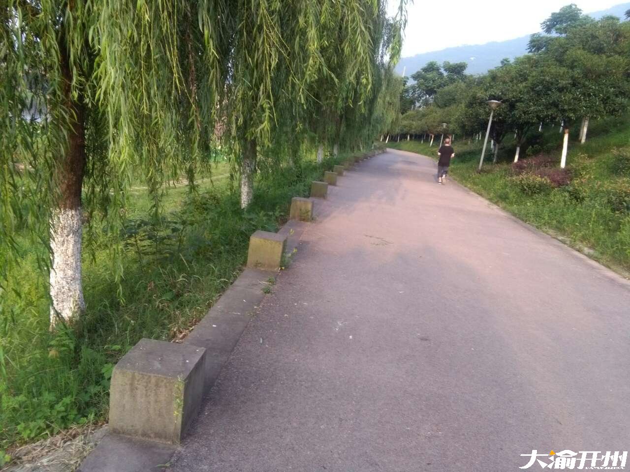 “im电竞官方网站入口”清晨的汉丰湖畔——一副田园水彩画(图3)