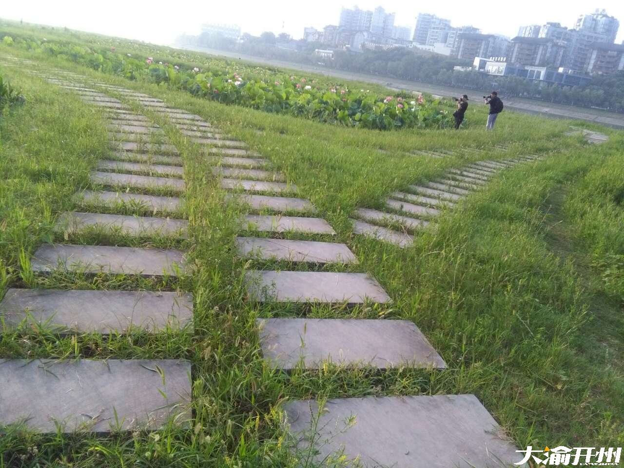 “im电竞官方网站入口”清晨的汉丰湖畔——一副田园水彩画(图8)
