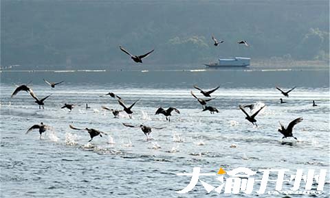 ‘bat365官方网站’汉丰湖-举子园景区(图7)