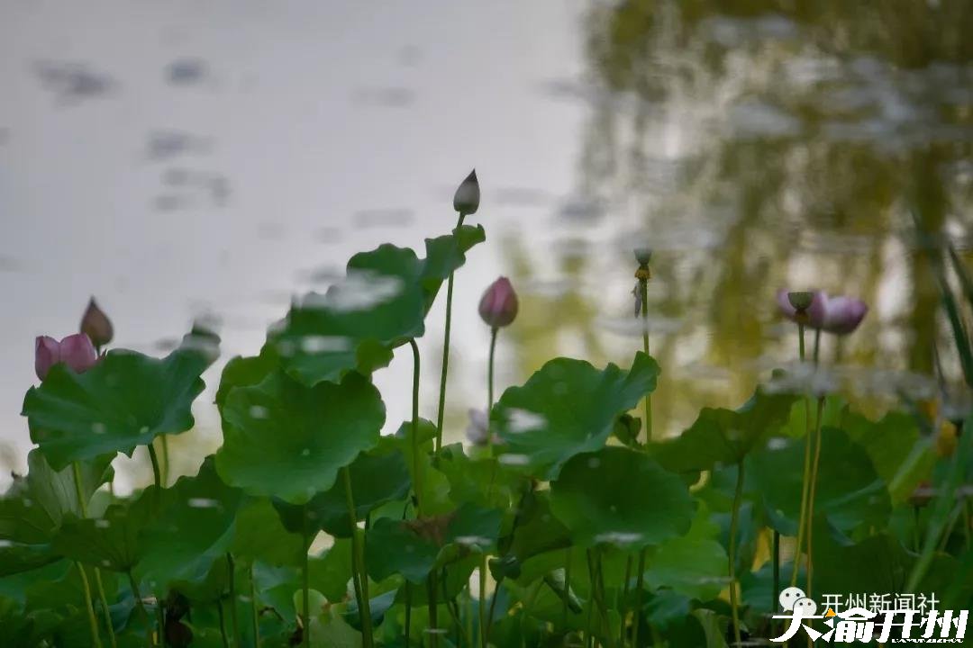 微信图片_20180612094331.jpg