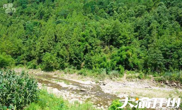 重庆开州中和镇映阳河：溯江而上，峡谷风光媲美风景区|kaiyun官网(图2)