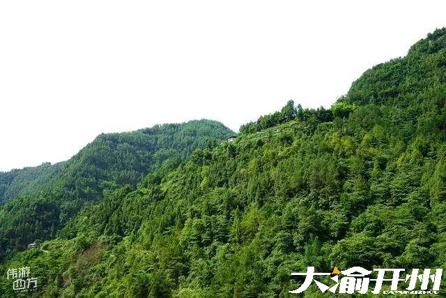 重庆开州中和镇映阳河：溯江而上，峡谷风光媲美风景区|kaiyun官网(图3)