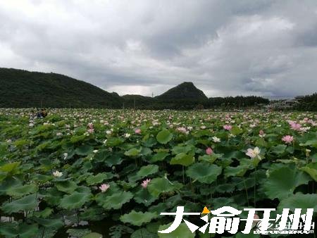 ‘雷火电竞在线登录官网’小荷才露尖尖角，早有蜻蜓立上头。(图2)