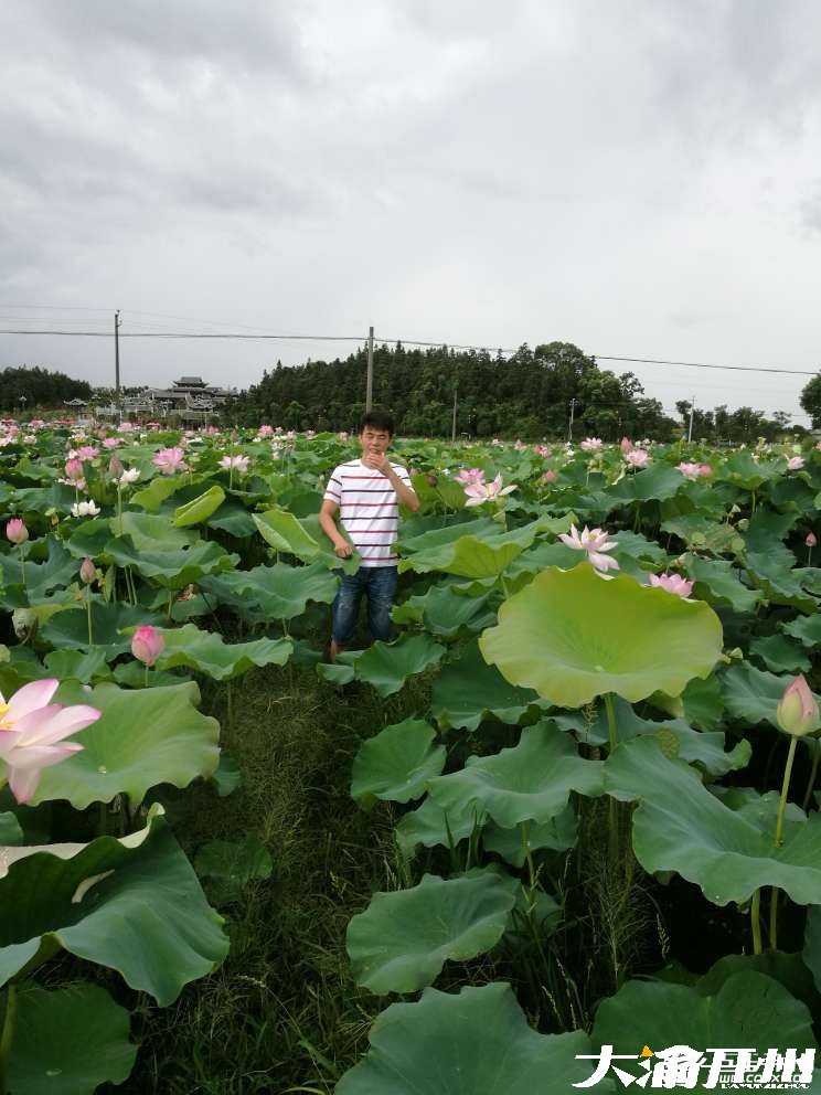 ‘雷火电竞在线登录官网’小荷才露尖尖角，早有蜻蜓立上头。(图8)