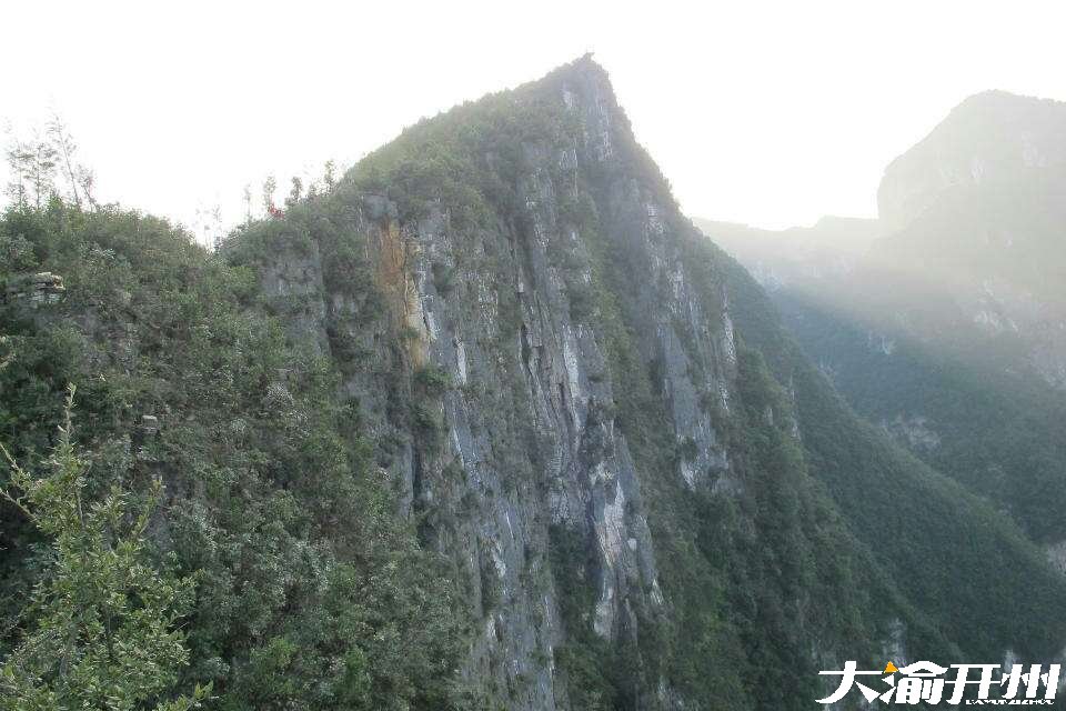 20180714_5665_1531544979029.jpg