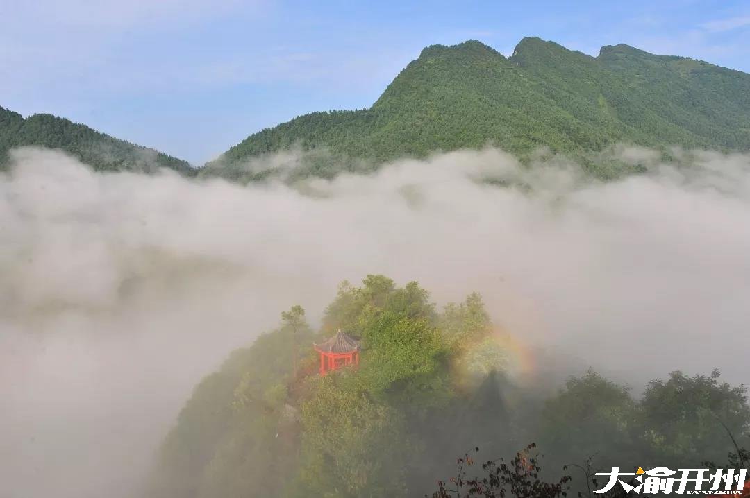 微信图片_20180726094855.jpg