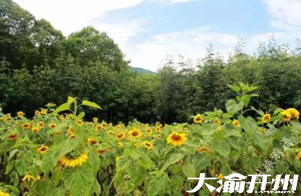 微信图片_20180726095008.jpg
