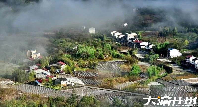 微信图片_20180726094906.jpg