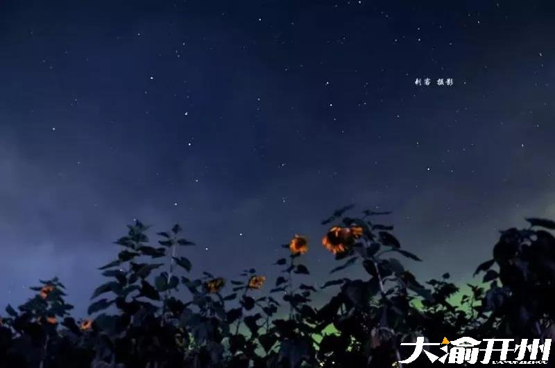 微信图片_20180726094858.jpg