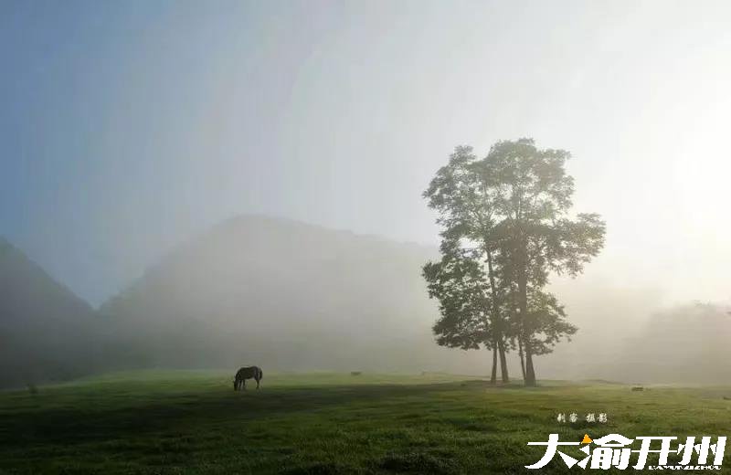微信图片_20180726094938.jpg