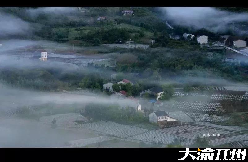 微信图片_20180726094942.jpg