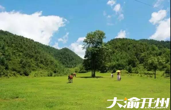 微信图片_20180726095002.jpg