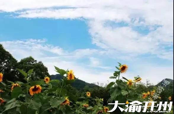 微信图片_20180726094954.jpg