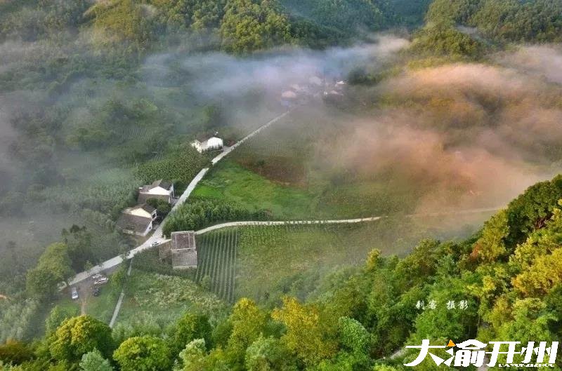微信图片_20180726095006.jpg