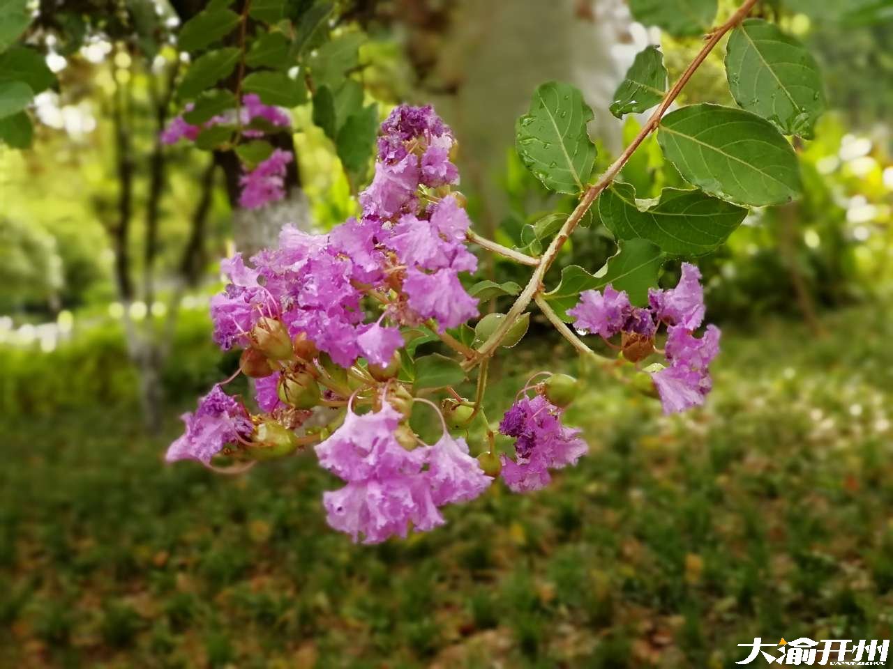 下雨天～湖边～不一样的美【泛亚电竞官方入口】(图6)