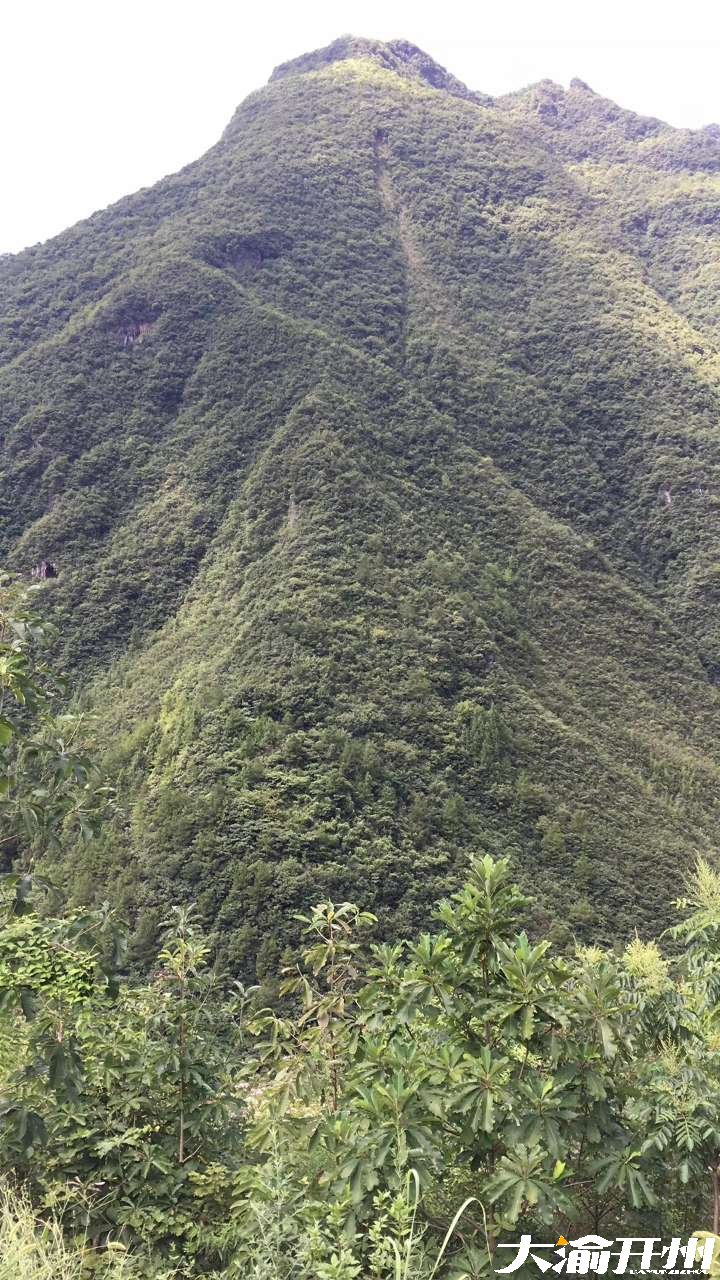 敢问此山有多高【雷火电竞首页】(图3)